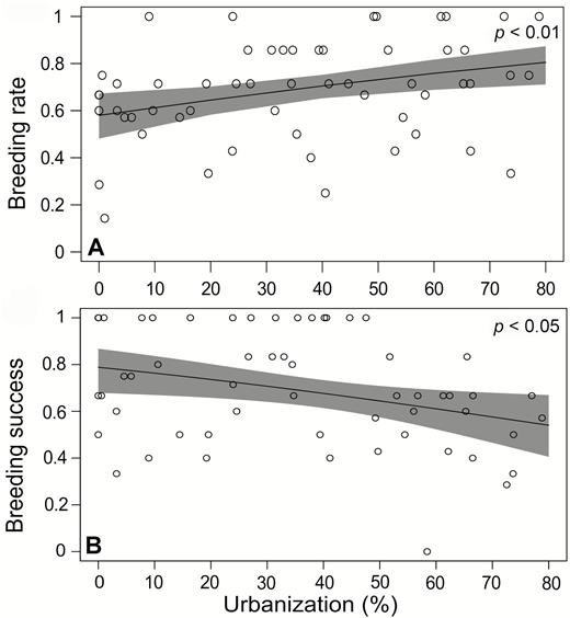 Relationship between urbanization and breeding parameters. Urbanization (%) is associated with increases in breeding rate (A) but is associated with decreases in breeding success (B) of Crowned Eagles in KwaZulu-Natal Province during the 2011–2017 breeding seasons. Breeding rate is the proportion of breeding attempts out of the years monitored for each territory, and breeding success is the number of fledged chicks out of the number of years with a breeding attempt. The line is the predicted relationship based on the output of the GLM, with 95% CIs in shaded gray. Open circles represent the observed values per territory.