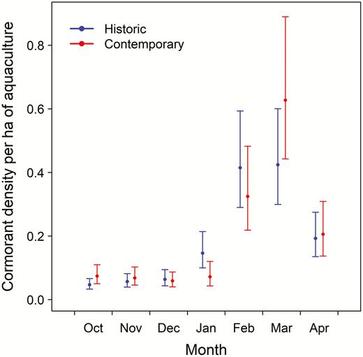 Mean monthly winter densities (±95% CI) of Double-crested Cormorants (Phalacrocorax auritus) on catfish (Ictalurus spp.) aquaculture in the Mississippi Delta estimated from historic (2001−2002 and 2003−2004) and contemporary (2015−2016, 2016−2017, and 2017−2018) aerial surveys.
