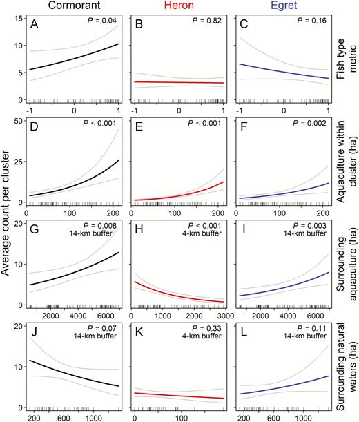 Predicted response (number of birds per aquaculture cluster) of Double-crested Cormorants (Phalacrocorax auritus), Great Blue Herons (Ardea herodias), and Great Egrets (A. alba) relative to fish type and amount of foraging area at different spatial scales during winter surveys of catfish (Ictalurus spp.) aquaculture clusters in the Mississippi Delta. (A−C) The fish-type metric is the proportion of surface area within the aquaculture cluster for raising food fish (≥20 cm) minus the area for fingerlings (<20 cm). The 3 foraging-area metrics include (D−F) surface area of aquaculture (ha) within the cluster itself, (G−I) area of aquaculture (ha) within a 4-km (herons) or 14-km (cormorants and egrets) buffer surrounding the cluster, and (J−L) area of natural waterbodies (ha) within the surrounding buffer. Predictions are based on the final model for each species with all other covariates held at mean values. Thin lines represent 95% confidence intervals. Ticks at the bottom of each graph show values of the dependent variables observed in the data. Count data were collected during aerial surveys flown from October through April in the winters of 2015–2016, 2016−2017, and 2017−2018.