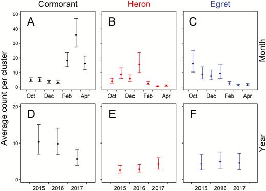 Predicted response (number of birds per aquaculture cluster) of Double-crested Cormorants (Phalacrocorax auritus), Great Blue Herons (Ardea herodias), and Great Egrets (A. alba) relative to (A−C) month and (D−F) year during winter surveys of catfish (Ictalurus spp.) aquaculture clusters in the Mississippi Delta. Predictions (±95% CI) are based on the final model for each species with all other covariates held at mean values. Count data were collected during aerial surveys flown from October through April in the winters of 2015–2016, 2016−2017, and 2017−2018.