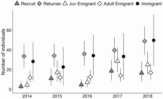Number of each class of Piping Plovers predicted to be in the population (Recruits, Returners, and Immigrants) and the number of emigrants of each stage class (Juv Emigrants and Adult Emigrants) each year following the first year of a study on Fire Island and Westhampton Island, New York, estimated using an integrated population model. Recruits hatched in the study and returned to nest the following year, returners bred in the study area prior, and immigrants were new to the breeding population. Juvenile (Juv) emigrants hatched in the study area and survived but did not breed in our study area the following year, and adult emigrants bred in our study in the year prior and survived but did not breed in our study area the following year.