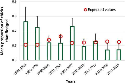 Observed proportions of chicks that survived to five weeks ( ± SE) from 1993 to 2019. Expected values were generated from a mixed Poisson model that used survival to five weeks of age as the dependent variable and lake size as a predictor.