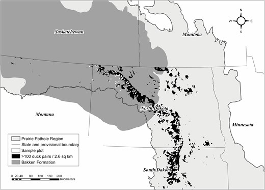 Location of 81 plots (3.2 × 3.2 km) within the Bakken Formation where wetlands were surveyed for breeding Blue-winged Teal, Gadwall, Mallard, Northern Pintail, and Northern Shoveler pairs during spring, 2015–2017. Duck pair density information originates from models updated from those presented in Reynolds et al. (2006).