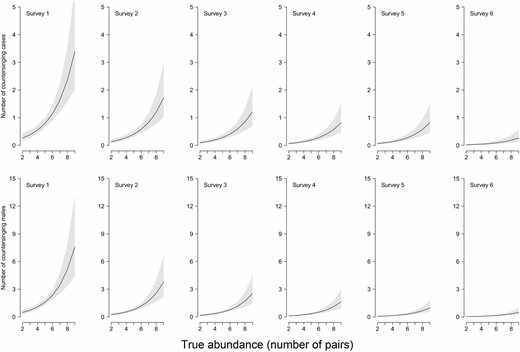 Marsh Tits countersinging increases with abundance and decreases with the progress of the breeding season: model-predicted relationships. (Top row) Number of countersinging cases per survey. (Bottom row) Number of males involved in countersinging cases, in relation to both true abundance (number of pairs, x axes on each panel) and season advancement (surveys 1–6, early April to late May). Lines show means, and gray shadings are 95% CIs.