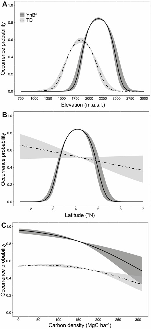 Variation in occurrence probability of Yellow-headed Brush-finch and Tolima Dove across the Colombian Andes as a function of regional and local predictors. Predictions from occupancy-detection models for the two species are presented as a function of (A) elevation, (B) latitude, and (C) vegetation density (aboveground carbon density). Shown are the estimated coefficients (solid and dashed-dotted lines) and the standard error of the predicted values (±SE).