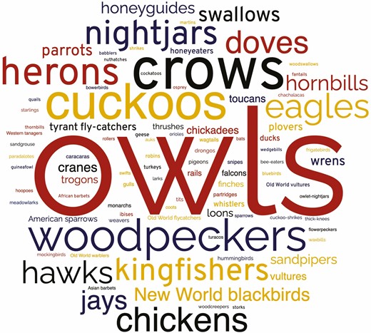 Birds that tell people things, depicted in size order of proportional occurrence. To privilege the most common vernacular taxonomic identifications, bird group names are used mostly at subfamily level (with some at genus or family level) except that chickens are identified at the subspecies level rather than their bird group name of pheasants; and typical owls and barn owls are grouped here at the order level, though they are different families, because identification was most commonly just “owl” with no further distinction. Note that this gives the owls category even more prominence than it already has.