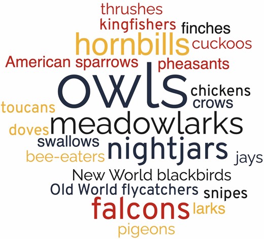 Word cloud depicting, in size order of proportional occurrence, the bird groups interpreted by people in their environments as vocalizing warblish. Again, as owls were usually identified at the order level, they are depicted together and are thus somewhat overrepresented visually.