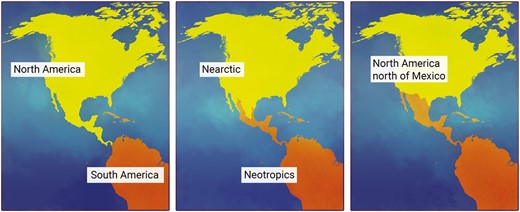 Geographic reference for terminology described in this paper, including North America and South America (left), the Nearctic and Neotropics (center), and North America north of Mexico (the United States and Canada only; right). Figure courtesy of Lauren Helton.