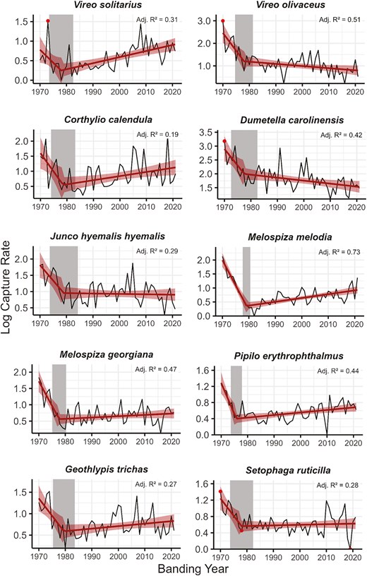 Graphs showing piecewise regression between relative abundance and year for ten migratory songbirds with breakpoints in the late 1970s. All species show a similar decline in the early 1970s followed by an abrupt change in slope in the late 1970s.
