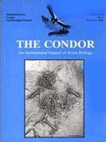 The Condor: Ornithological Applications Cover Image for Volume 103, Issue 1