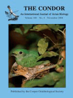 The Condor: Ornithological Applications Cover Image for Volume 108, Issue 4