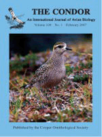 The Condor: Ornithological Applications Cover Image for Volume 109, Issue 1