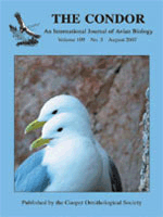 The Condor: Ornithological Applications Cover Image for Volume 109, Issue 3