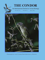 The Condor: Ornithological Applications Cover Image for Volume 115, Issue 2