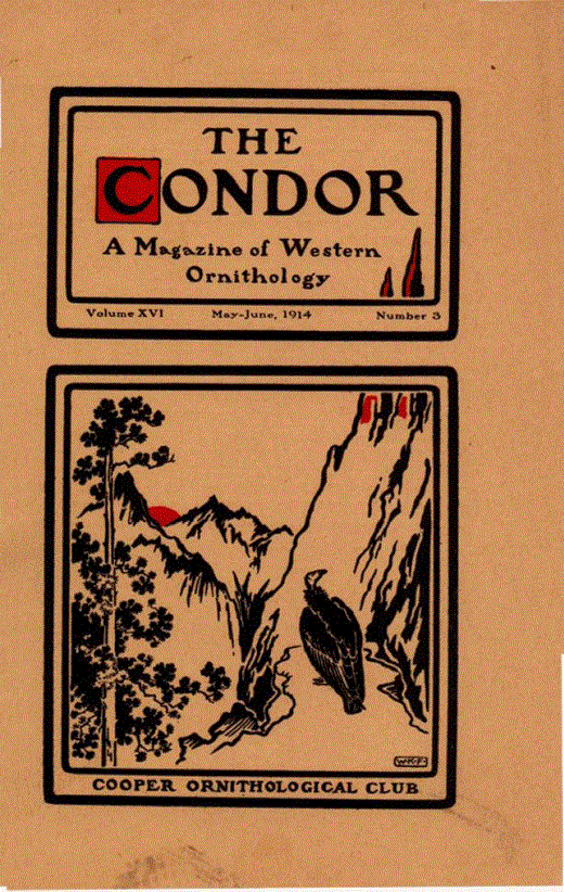 The Condor: Ornithological Applications Cover Image for Volume 16, Issue 3