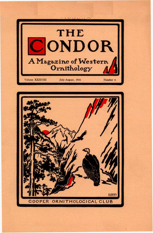 The Condor: Ornithological Applications Cover Image for Volume 38, Issue 4