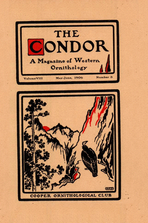 The Condor: Ornithological Applications Cover Image for Volume 8, Issue 3