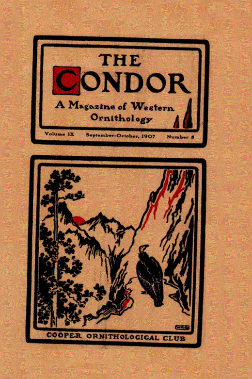 The Condor: Ornithological Applications Cover Image for Volume 9, Issue 5