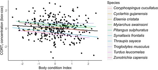 Relationship between CORTf concentration and Body Condition Index. Colored lines indicate each species pattern and black line indicates model pattern.