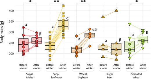 Females’ body mass before and after winter as a function of their diet. Different colours and shapes represent different groups. For each group, statistically significant differences between periods are indicated by asterisks (lm, P < 0.05). Statistically significant differences between groups (Tukey, P < 0.05) are indicated with different Latin letters before winter and Greek letters after winter.