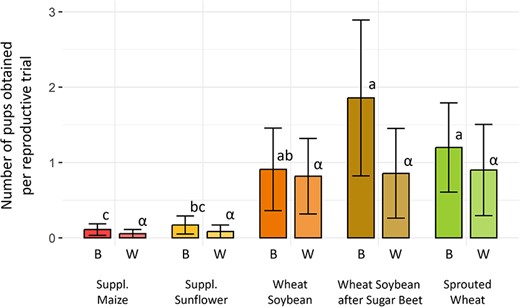 Number of pups at birth (B) and weaning (W) per reproductive trial. Colours represent different groups. Bars represent the mean number of pups ± SEM. Statistically significant differences between groups (Dunn, P < 0.05) are indicated with different Latin letters for birth and Greek letters for weaning.
