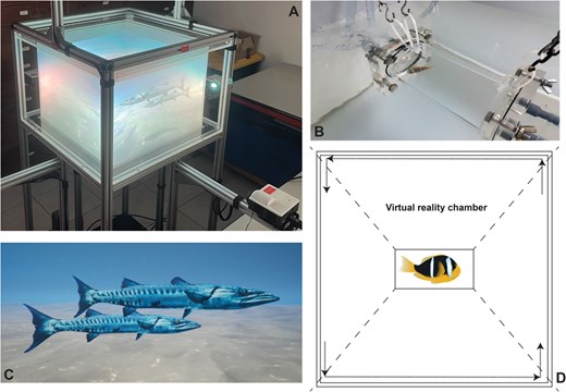 Diagrammatic representation of virtual reality and respirometry chamber setup with subfigures labelled A to D, illustrating aspects of the setup.