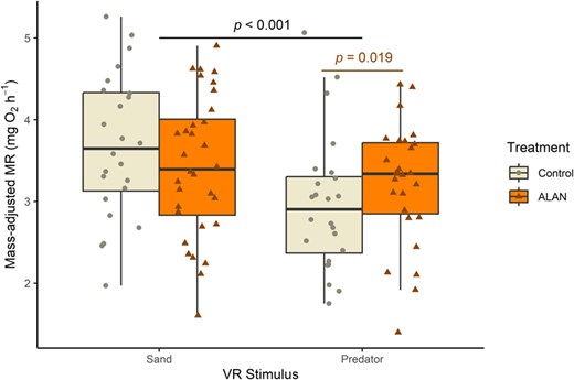 Boxplot showing respirometry data plotted by virtual reality stimulus and light treatment.