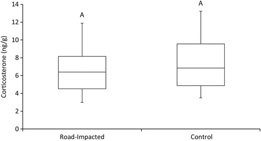 Average amount of CORT recovered from claw samples collected from turtles living alongside roads (road impacted; n = 15) and at a more natural site (control, n = 15). Common letters indicate no significant difference.