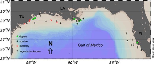 Map of PSAT tag deployment and release locations for adult blacktip sharks Carcharhinus limbatus in the Gulf of Mexico. Green circles indicate locations where tags were deployed, and symbols display locations were tags were first detected by Argos satellite. Symbol types also indicate the status of each individual (black cross = survive; red X = mortality;? = ingested/unknown)