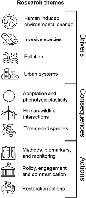 Visualization of the research themes that include the 100 questions related to conservation physiology generated in this paper. The themes broadly cover the drivers of conservation issues, their consequences and actions to address conservation issues or otherwise advance the impact of conservation physiology.