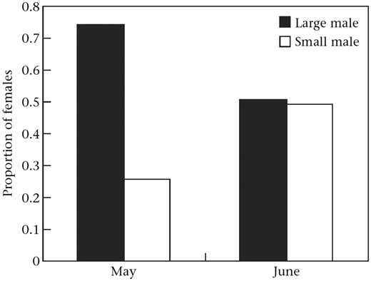 Female preference for large males in relation to time of season, in G. flavescens. The figure shows the proportions of females that responded more strongly to large and small males, respectively, in a 2-choice aquarium set-up. Reprinted, with permission from Elsevier, from Figure 1 in Borg et al. (2006), Animal Behaviour 72:763–771.