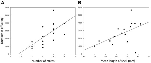 Relationships between mating success and reproductive success (A), and between nest size and reproductive success (B), in G. flavescens. Mating and reproductive success were quantified from parentage analyses using microsatellites. Mussels in (B) are all blue mussels Mytilus edulis. Reproduced from (A) Figure 2 and (B) Figure 1 in Mobley et al. (2009), BMC Evolutionary Biology 9:6.