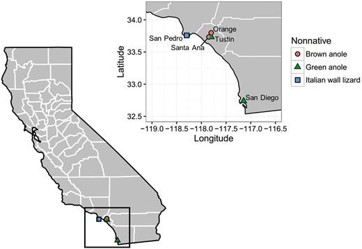 Map of California, USA, showing the sites sampled for this study. Counties are outlined in white (our research took place in Los Angeles, Orange, and San Diego Counties); the black box highlights the enlarged area. The locations of the invasive lizard populations examined in this study are indicated by the different colored symbols on the map. Native western fence lizards are present at all sites.