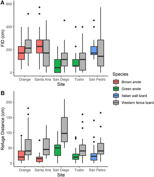 Boxplots comparing behaviors of invasive lizards to a native lizard at 5 Southern California sites. (A) FID; (B) the distance to the closest refuge when the lizard was found. Boxplots show the median, interquartile ranges, and outlying data points.