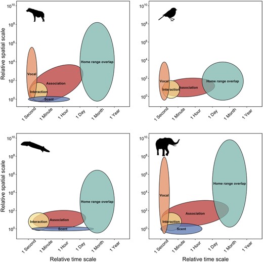 Space-time diagram representing variation the relative spatial and temporal extent required for different types of social and communication processes for 4 species, including spotted hyenas, passerine birds, sleepy lizards, and elephants. Spatial and temporal extent for social interactions, for example, mating, grooming, or aggression, are similar for most species because physical contact between 2 individuals is required for many social interactions. The logical extension is that spatial and temporal extent for social interaction is hierarchically nested within the spatial and temporal extent for social association because individuals must share space to interact. In contrast, different species have potential for greater spatial and temporal extents, for example, temporal extent for vocal communication is similar for most species because most vocal calls only persist in the environment for seconds, but spatial extent for vocal communication is highly variable with elephant calls extending the great distance and passerine calls extending the shortest distance.