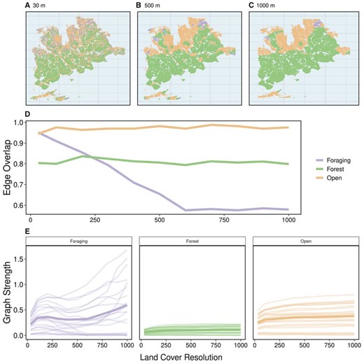 Varying spatial scale of land cover raster. For each land cover resolution (100–500 m by steps of 100 m), multilayer networks based on caribou social associations between April 2017 and March 2019 within 3 habitat layers (foraging, forest, and open). (A–C) 3 land cover rasters: the original resolution (30 m) and 2 aggregated rasters (500 and 1,000 m). (D) Edge overlap of habitat layers across spatial resolutions. Open and forest layers show consistent edge overlap with increasing spatial resolution although foraging shows a sharp decline in edge overlap between 30 and 600 m. Above 600 m, edge overlap in foraging layers is stable. (E) Graph strength within habitat layers across spatial resolutions showing individuals as a separate line and the mean of individuals in bold. Foraging layers showed high variation in graph strength with many individuals dropping to 0 after 500 m and others increasing with spatial resolution. Open layers and forest layers were relatively stable across spatial resolutions, with higher mean graph strength in open compared with forest layers.