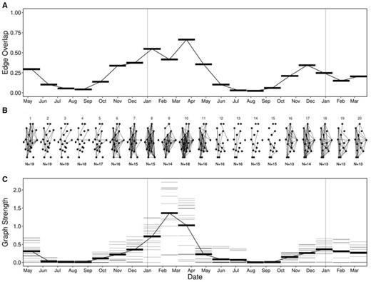 Varying temporal scale in multilayer networks. Multilayer networks based on caribou social associations within time windows (20 ordinal sample periods) between April 2017 and March 2019. (A) Edge overlap was high between approximately November and May (time windows 1, 6–11, and 15–20) and low between approximately June and October (time windows 2–5 and 12–15). (B) Ordinal network layers showing unweighted edges between individuals within time windows. Like edge overlap, individuals were more connected between November and May, compared with between June and October. (C) Graph strength within time windows showing individuals as thin gray lines and mean across individuals as thick black lines. Graph strength peaked in time window 9, with noticeable higher strength than the following year.