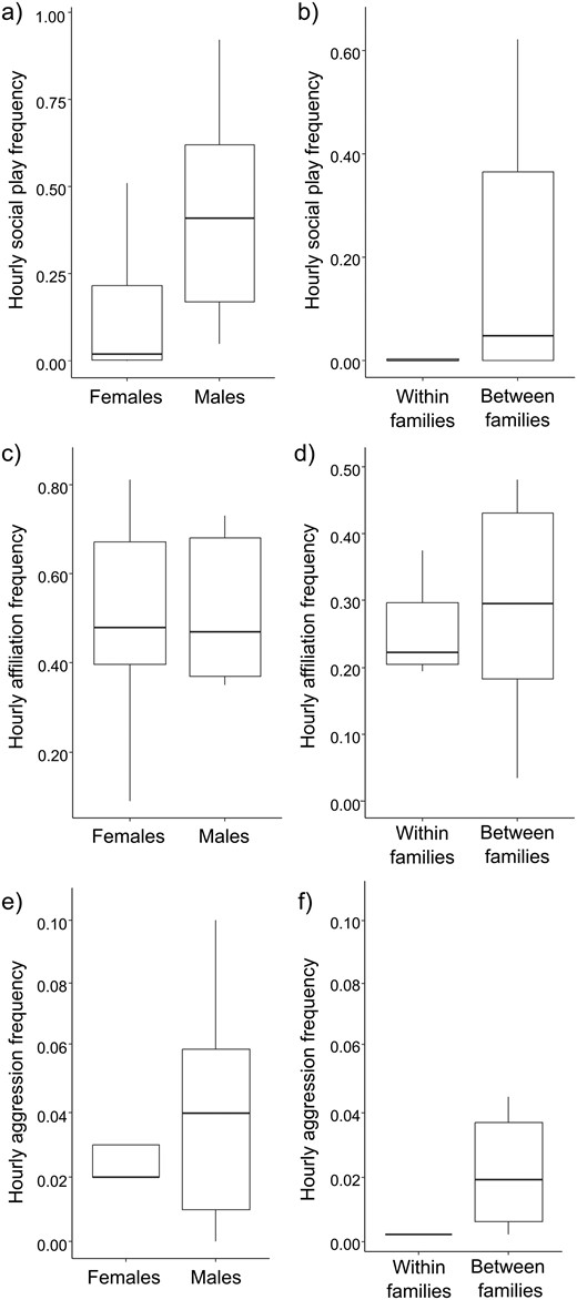 The figure shows six boxplots. The two top boxplots show social play hourly frequencies (on the Y axis) as a function of sex (females/males, X axis) on the left, and family (within/between families, X axis) on the right. Social play hourly frequencies were a) higher in males than in females (Exact Mann-Whitney’s test: Nmales = 5, Nfemales = 10, U = 7.00, P = 0.028) and b) within than between families (Exact Wilcoxon’s test, N = 13, T = 0, z = -2.666, P = 0.004). The two middle boxplots show affiliation hourly frequencies (on the Y axis) as a function of sex (females/males, X axis) on the left, and family (within/between families, X axis) on the right. Affiliation hourly frequencies were comparable (c) between males and females (Exact Mann-Whitney’s test: Nmales = 5, Nfemales = 10, U = 25.00, P = 1.000) and (d) within and between families (Exact Wilcoxon’s test, N = 13, T = 27.00, z = -1.293, P = 0.216). The two bottom boxplots show aggression hourly frequencies (on the Y axis) as a function of sex (females/males, X axis) on the left, and family (within/between families, X axis) on the right. Aggression hourly frequencies were (e) comparable between males and females (Exact Mann-Whitney’s test: Nmales = 5, Nfemales = 10, U = 20.50, P = 0.594) but (f) were higher within than between families (Exact Wilcoxon’s test, N = 13, T = 0, z = -2.803, P = 0.002). Circles and asterisks indicate outliers (out and far out values, respectively).