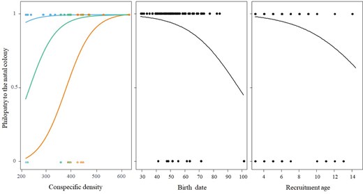 Alt text: distribution of data and associated lines of trends corresponding to philopatry to the natal colony in relation to conspecific density (positive but variable depending on the 3 main stages of the mad cow crisis), birth date (negative) and recruitment age (negative).