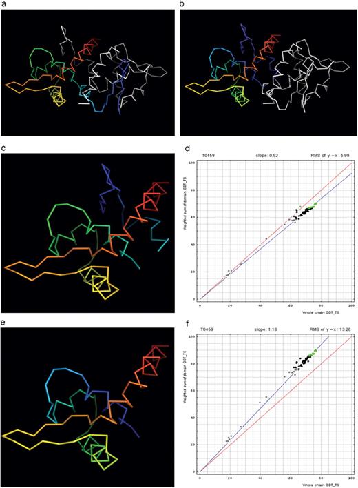Domain swap example (a) T0459 chain A (rainbow) with its symmetry mate (white). (b) T0459 chain A with a swapped N-terminal β-hairpin from its symmetry mate chain (rainbow) and the swapped hairpin symmetry mate chain (white). (c) Domain-swapped T0459 with chain B: 2–22 plus chain A: 23–106. (d) Correlation between GDT-TS scores for T0459 domain-based evaluation with a swapped domain (y, vertical axis) and whole-chain GDT-TS (x, horizontal axis). (e) T0459 with domain-swapped segment removed: chain A: 23–106. (f) Correlation between GDT-TS scores for T0459 domain-based evaluation with N-terminal segment removed (just A: 23–106, y, vertical axis) and whole-chain GDT-TS (x, horizontal axis).