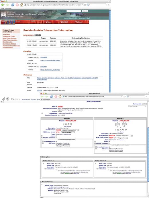 Search results from a query of protein–protein interactions data for the interaction of homeodomain proteins Lhx2 and Msx1 (SEARCH ‘Protein-Protein Interactions’ FOR ‘MSX1’) (top). Each protein–protein interaction entry within the Homeodomain Resource is hyperlinked to the corresponding entry in BIND, which provides additional details on the mechanism(s) of interaction (bottom). See text for additional details.