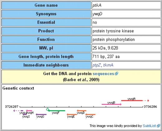 Key information on any gene/protein. Each page contains a table with information that is most often accessed by experimental biologists. The table provides information on synonyms, states whether a gene is essential or not and gives details on the gene product and its function(s). Moreover, the table provides ‘technical data’ such as lengths of the gene and the corresponding protein as well as the molecular weight and the isoelectric point of the protein. Next, the table contains information on the genomic context (neighbouring genes and a figure with of the 10 kb region). Finally, there is a link that gives access to the DNA and protein sequences.