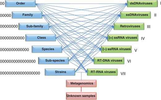 Integration process of ORION-VIRCAT. We mapped different ICTV (blue) and NCBI-VGR (green) taxonomies classifications.