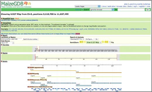 The MaizeGDB Genome Browser showing chromosome 5 from nucleotide position 5 110 700 to 11 637 499. The ‘BIN’ track shows bins 5.01 and 5.02, and the ‘Sequenced FPC contig’ track clearly displays regions within the FPC contigs that are not currently sequenced.