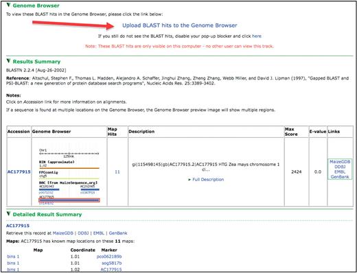 A view from the BLAST results interface. Note the link toward the top of the page allowing BLAST hits to be uploaded as a track in the Genome Browser, results table showing a thumbnail of the hit’s genomic context and hit assignment to BACs via the molecular markers associated with the hit sequence.
