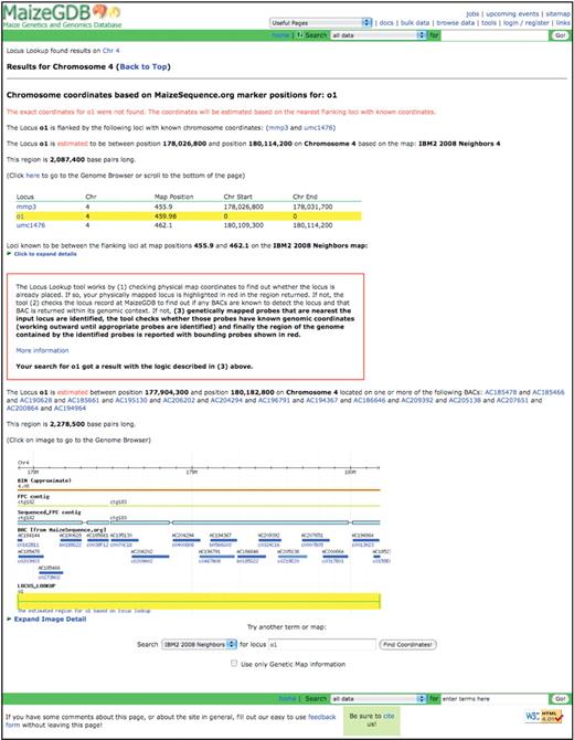 The result page for the approximate genomic coordinates for the opaque endosperm1 (o1) locus when the Locus Lookup tool is used.