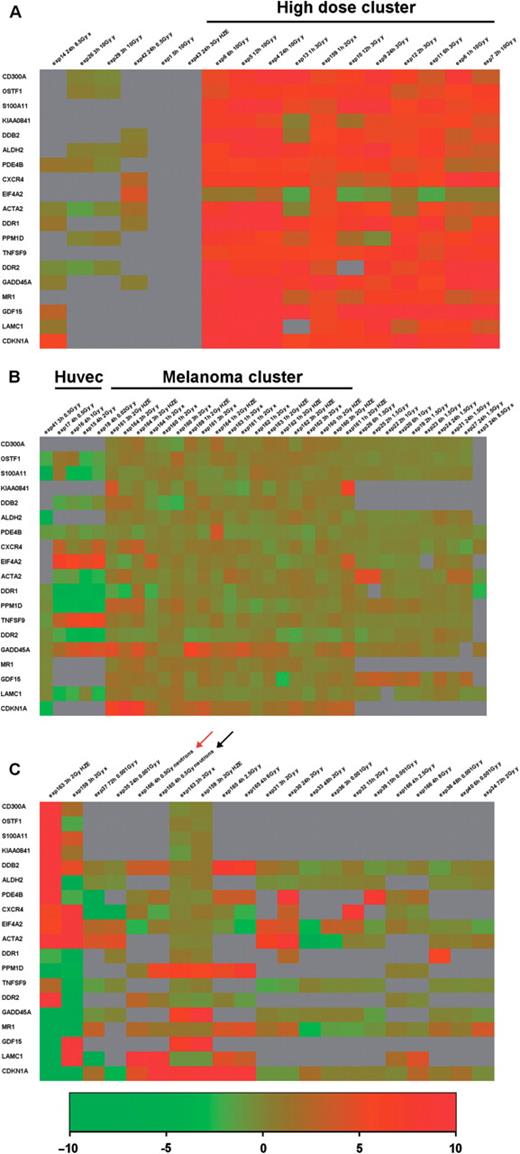 Hierarchical clustering of data for 18 genes which pass the log2 ratio cut-off: >1 in at least 20% of the experiments. Gene tree and conditions tree clustering were performed by selecting the following parameters: Euclidean distance and complete linkage. The condition tree has been zoomed by using the online tools and horizontally separated in three areas: the left portion (A) the central part (B) and the right portion (C).