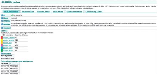 The Information page for ‘nucleus’, the page is organised into five tabs which contain all the information for a GO term including its GO ID, definition, synonyms, position within the ontology, relationship to its parent and child terms, proteins associated with the term and the terms which are most commonly co-assigned with the term.