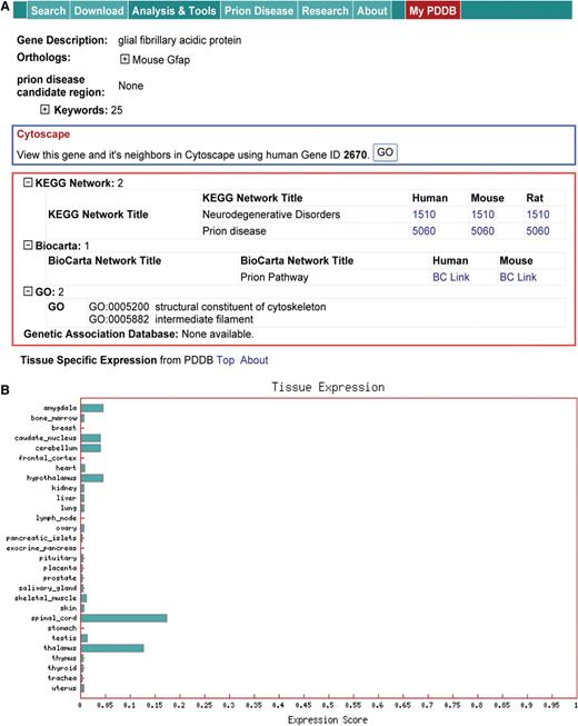 Gene page information. (A) Protein interactions (the blue box), and database information (KEGG and Biocarta pathways and GO information). (B) Tissue specific expression information that can support prediction of diagnostic marker candidates.