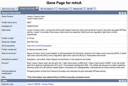 The new dictyBase protein information page will display annotations from UniProtKB/Swiss-Prot. Information for the MhcA protein (gene ID: DDB_G0286355; sequence ID: DDB0191444) parsed from UniProtKB/Swiss-Prot record P08799 includes sequence processing, sequence existence evidence, subunit structure, post-translational modifications, as well as sub-cellular location. Fields obtained from UniProtKB/Swiss-Prot are marked with an asterisk.